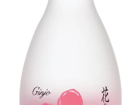 300-SCB JUNMAI GINJO For Discount