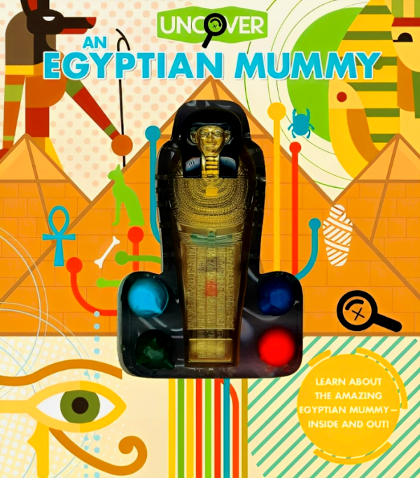 Uncover An Egyptian Mummy Online Sale